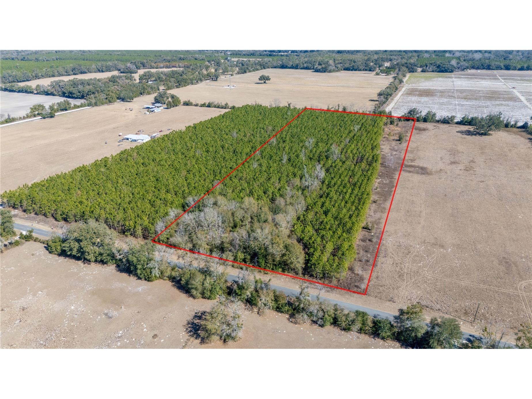 002 Nw 10th Avenue Trenton FL 32693 GC537427 image3