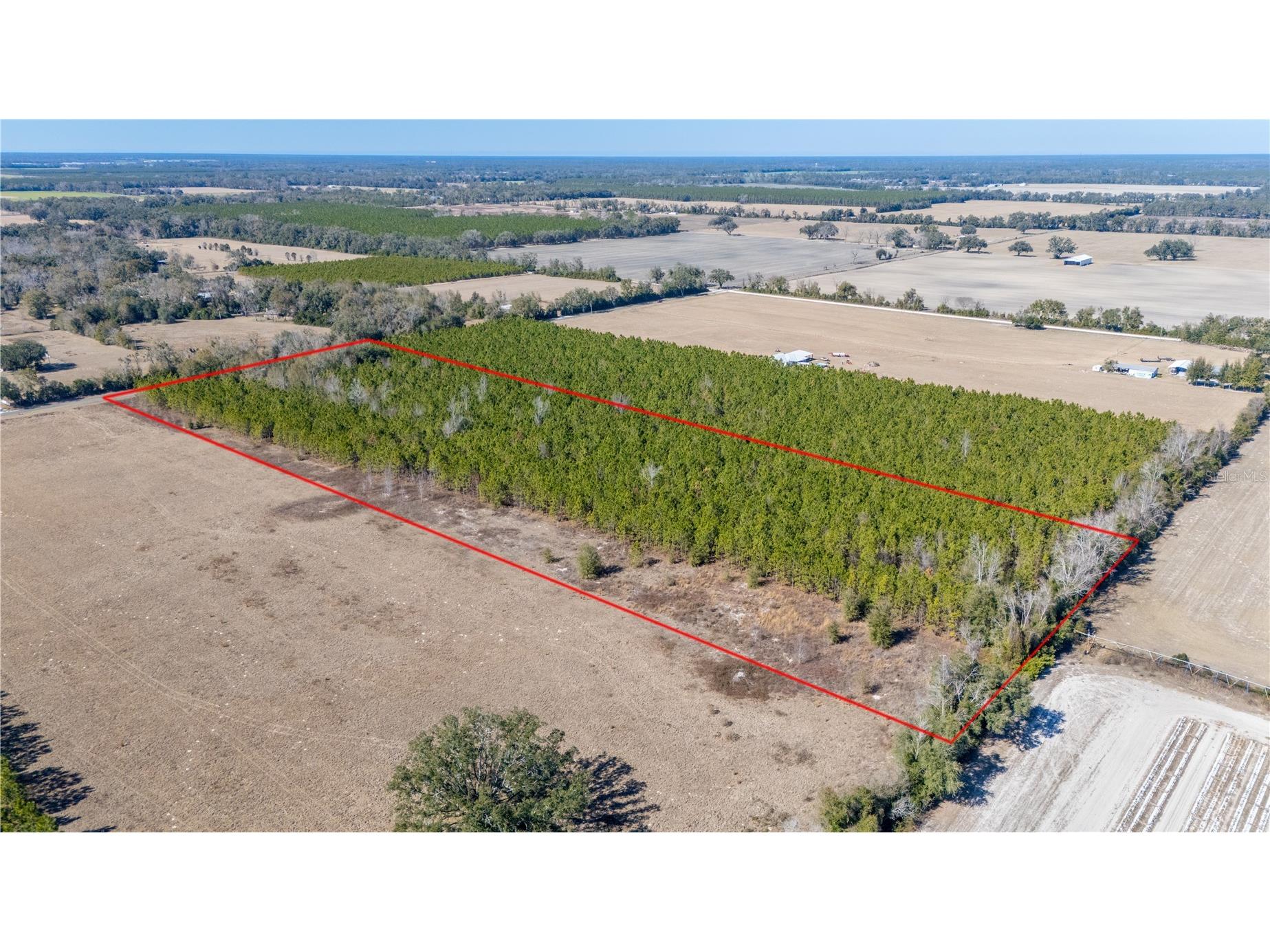 002 Nw 10th Avenue Trenton FL 32693 GC537427 image5