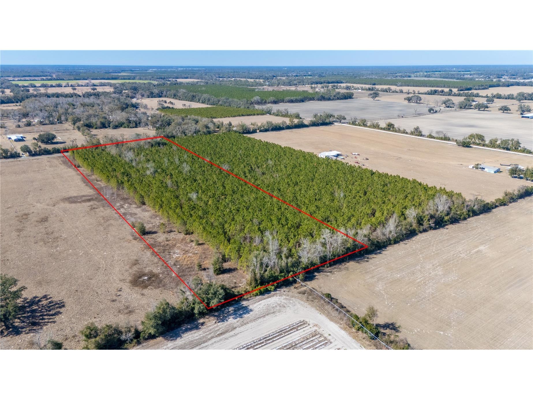 002 Nw 10th Avenue Trenton FL 32693 GC537427 image6