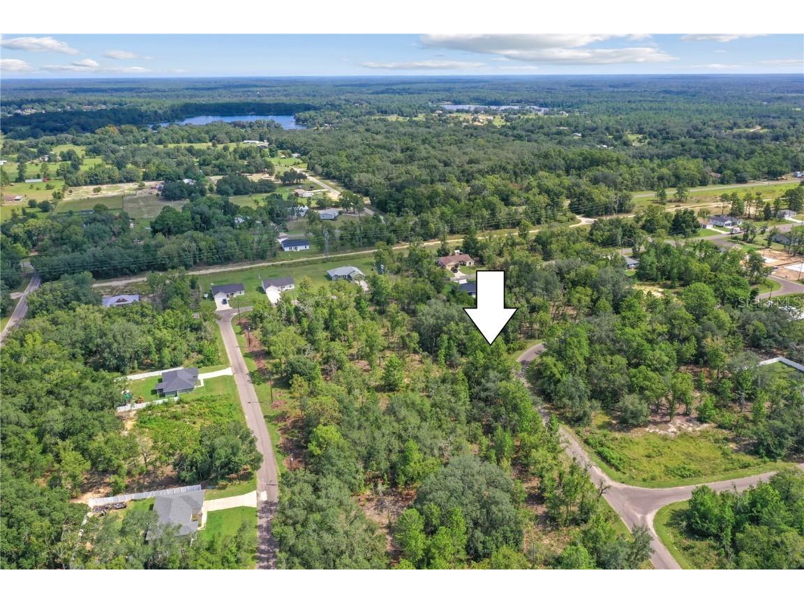 0024 Guava Pass Drive Ocklawaha FL 32179 TB8421632 image1