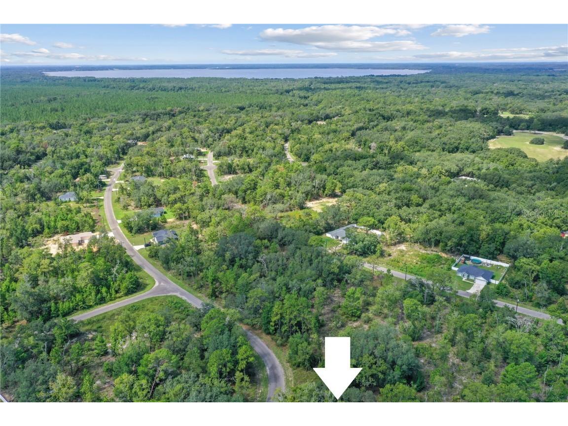 0024 Guava Pass Drive Ocklawaha FL 32179 TB8421632 image10