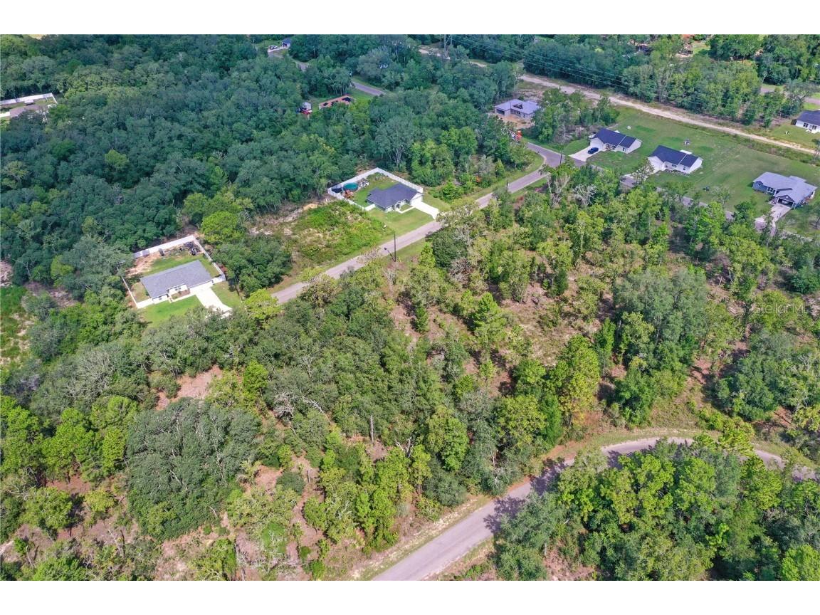 0024 Guava Pass Drive Ocklawaha FL 32179 TB8421632 image11