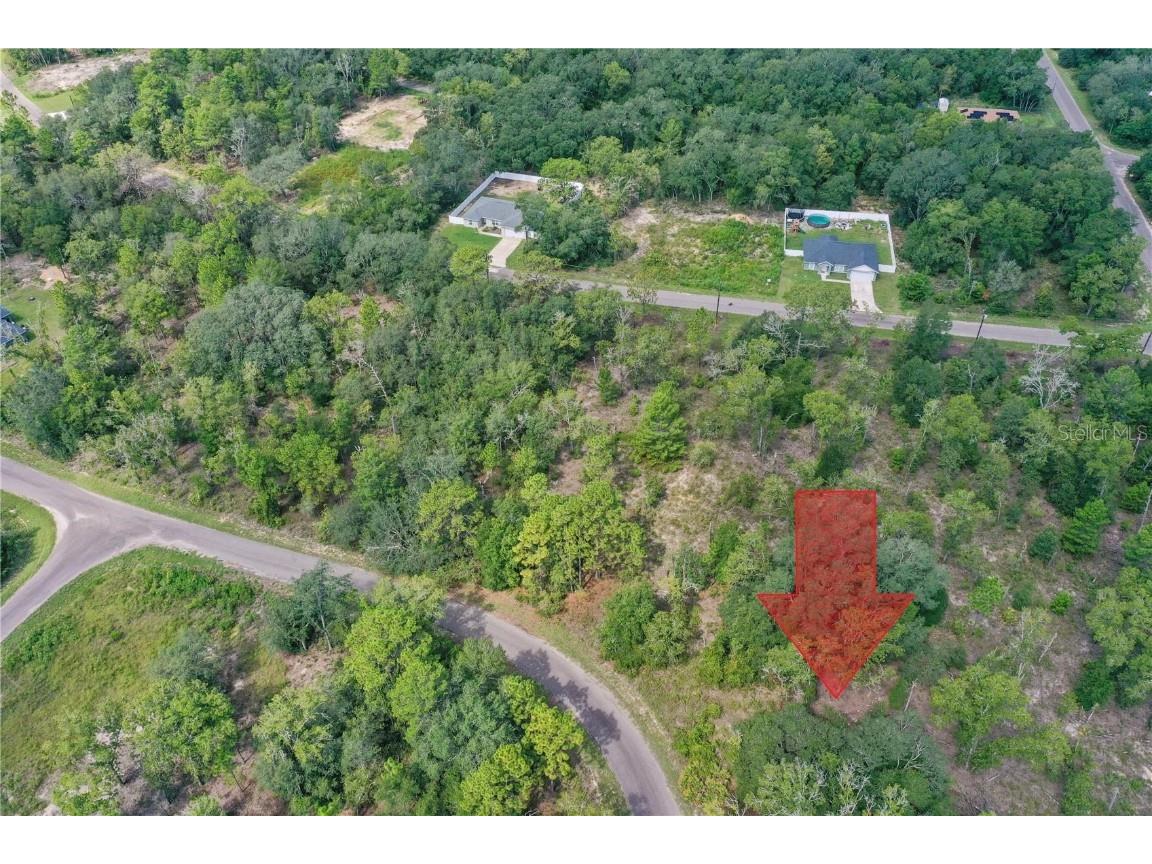 0024 Guava Pass Drive Ocklawaha FL 32179 TB8421632 image12