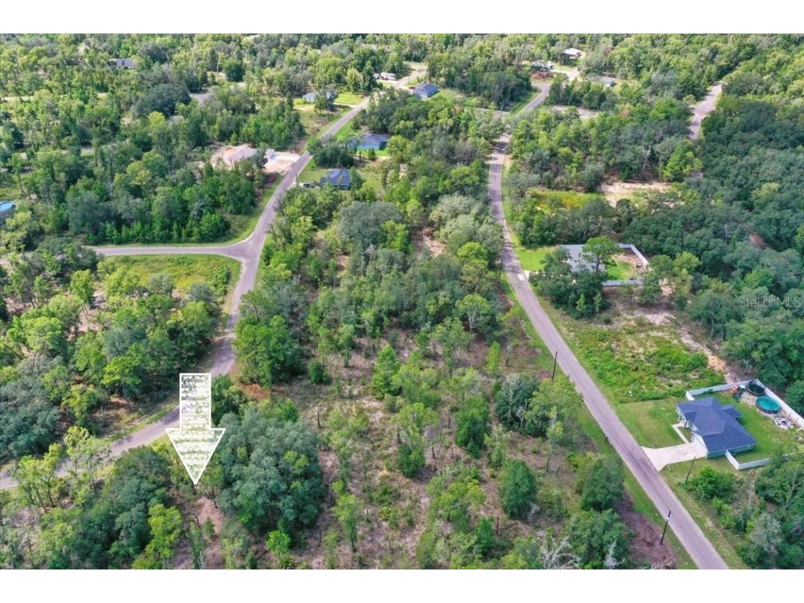 0024 Guava Pass Drive Ocklawaha FL 32179 TB8421632 image14