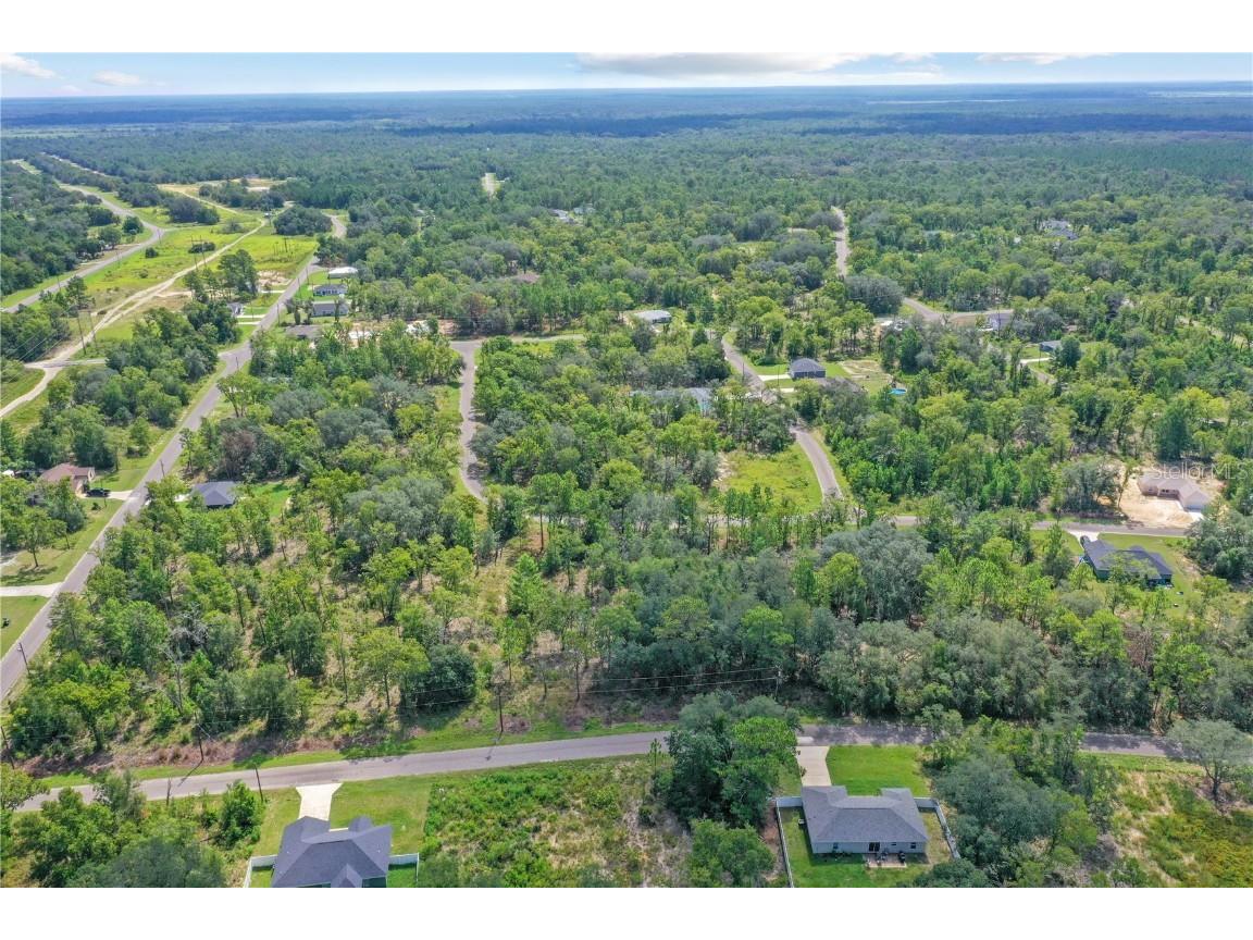 0024 Guava Pass Drive Ocklawaha FL 32179 TB8421632 image15