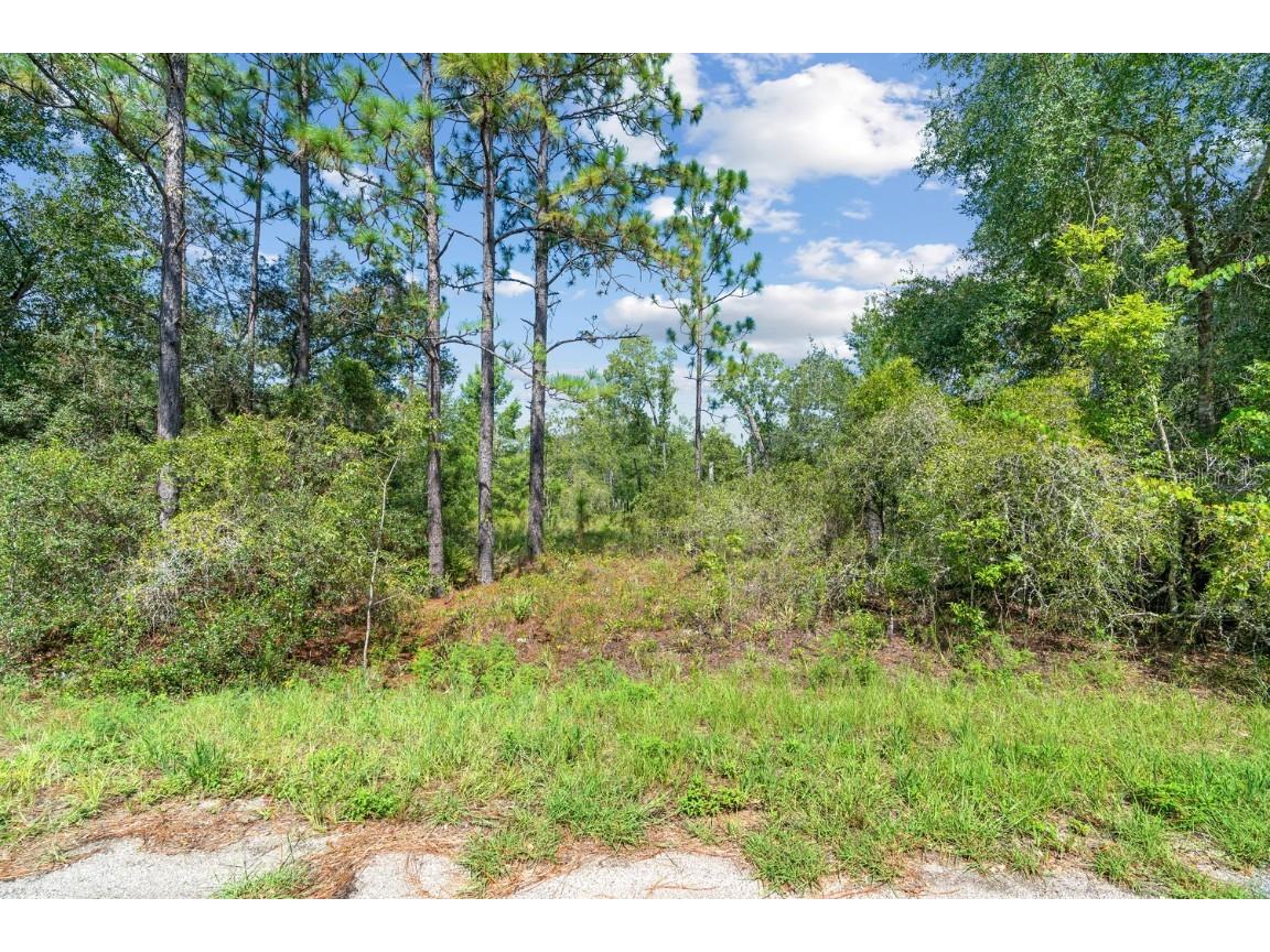 0024 Guava Pass Drive Ocklawaha FL 32179 TB8421632 image17