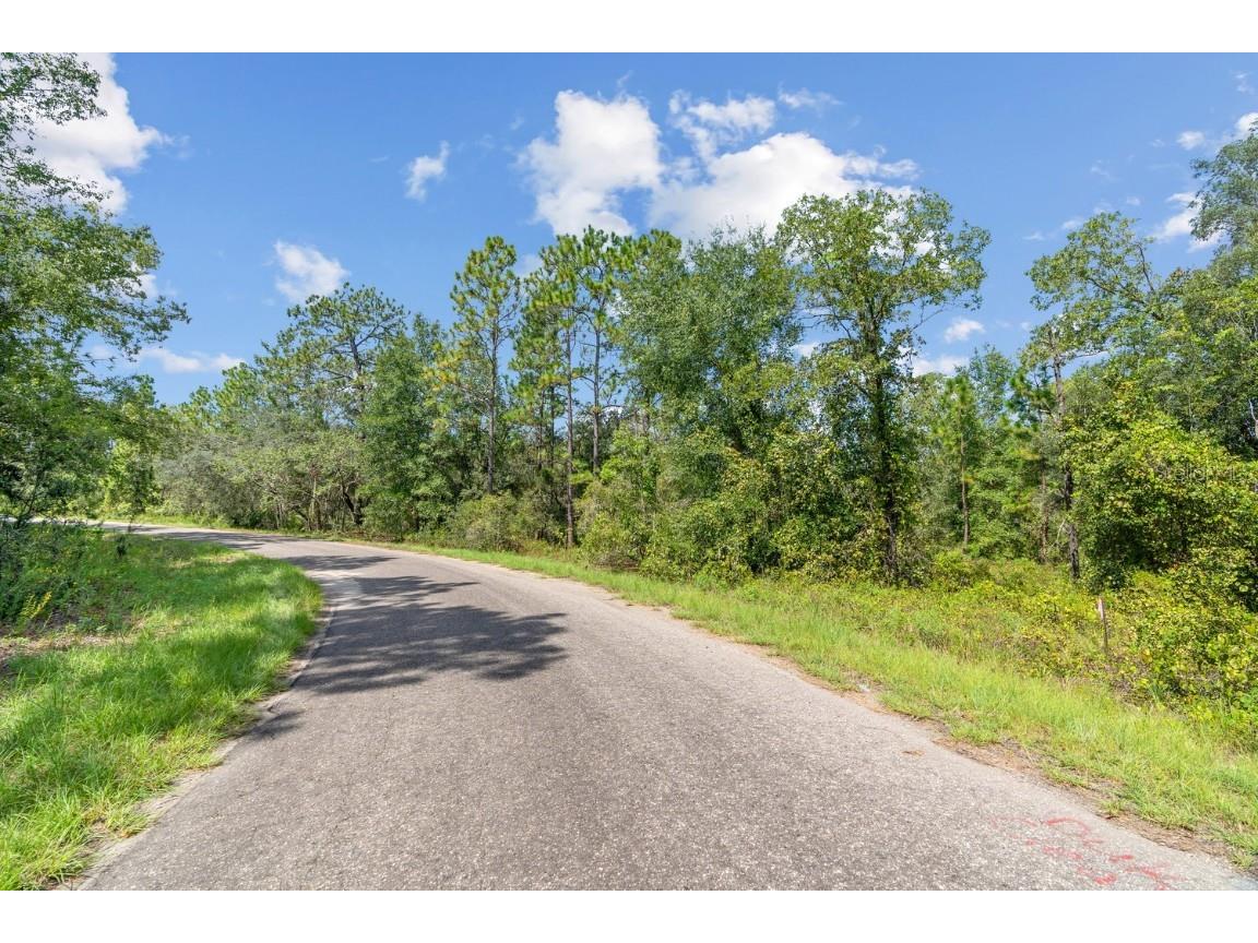 0024 Guava Pass Drive Ocklawaha FL 32179 TB8421632 image19