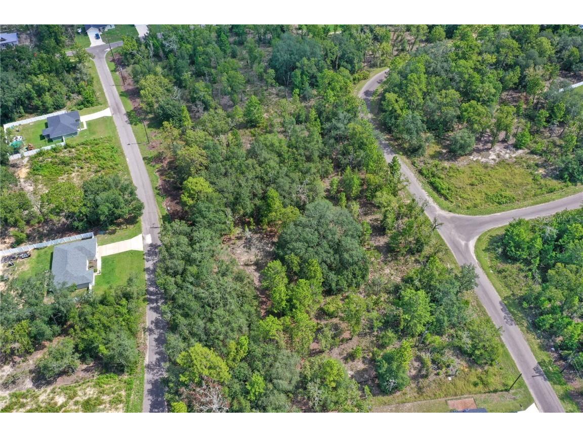 0024 Guava Pass Drive Ocklawaha FL 32179 TB8421632 image2