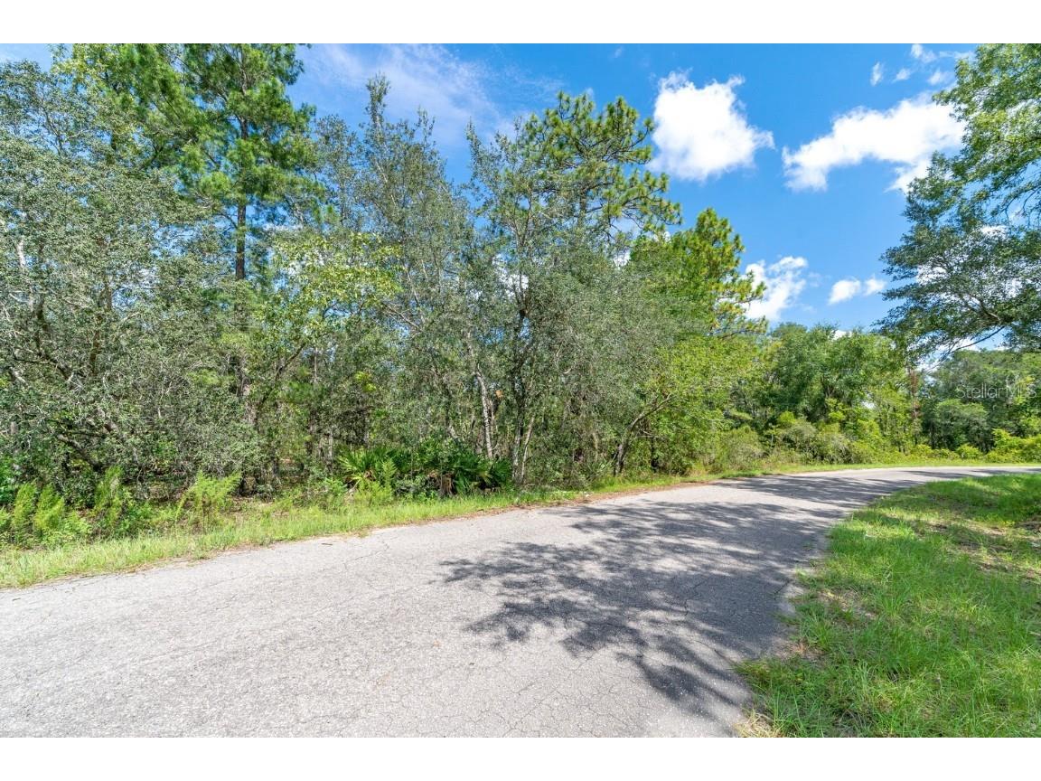 0024 Guava Pass Drive Ocklawaha FL 32179 TB8421632 image20