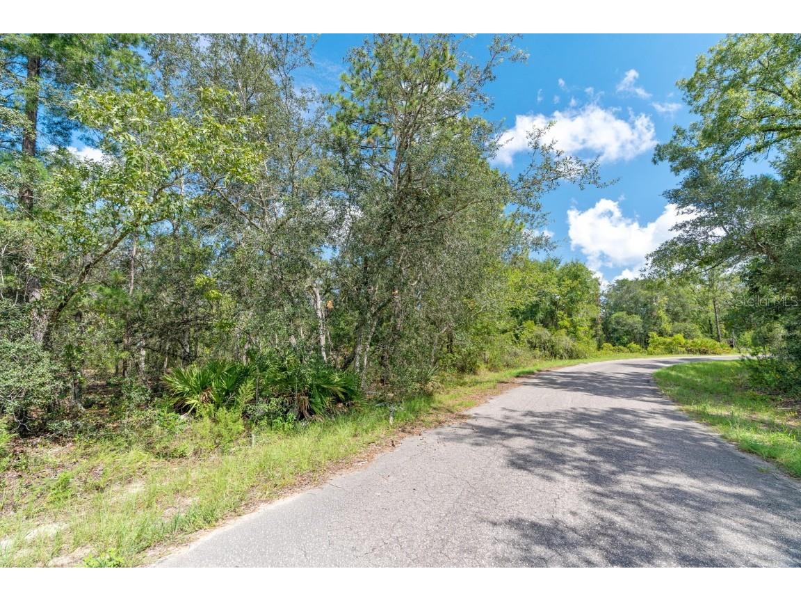 0024 Guava Pass Drive Ocklawaha FL 32179 TB8421632 image21