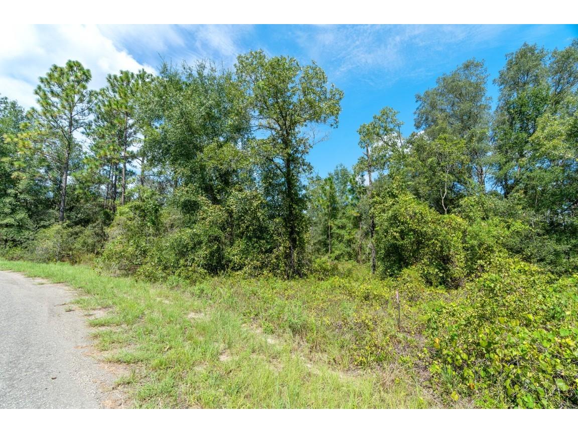 0024 Guava Pass Drive Ocklawaha FL 32179 TB8421632 image22