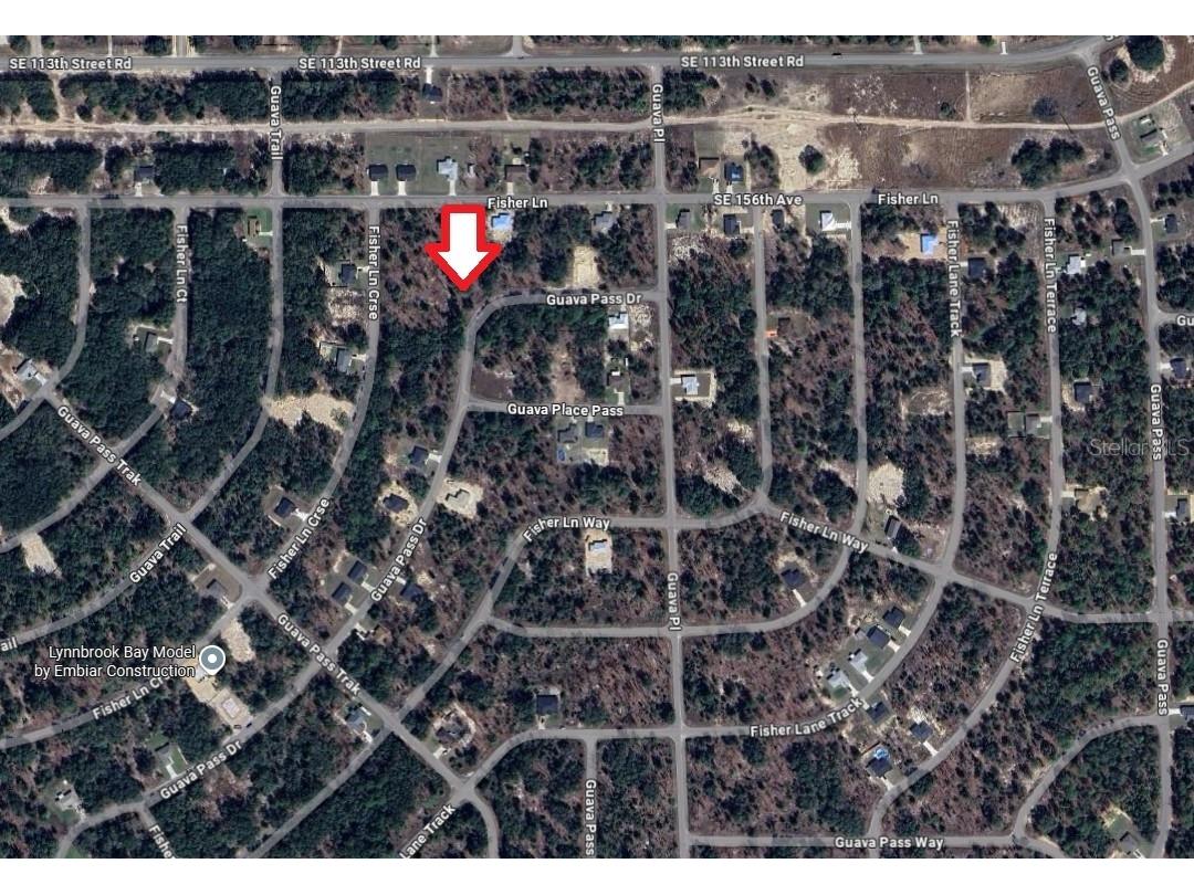 0024 Guava Pass Drive Ocklawaha FL 32179 TB8421632 image23