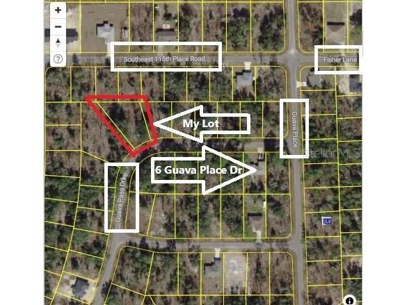 0024 Guava Pass Drive Ocklawaha FL 32179 TB8421632 image24