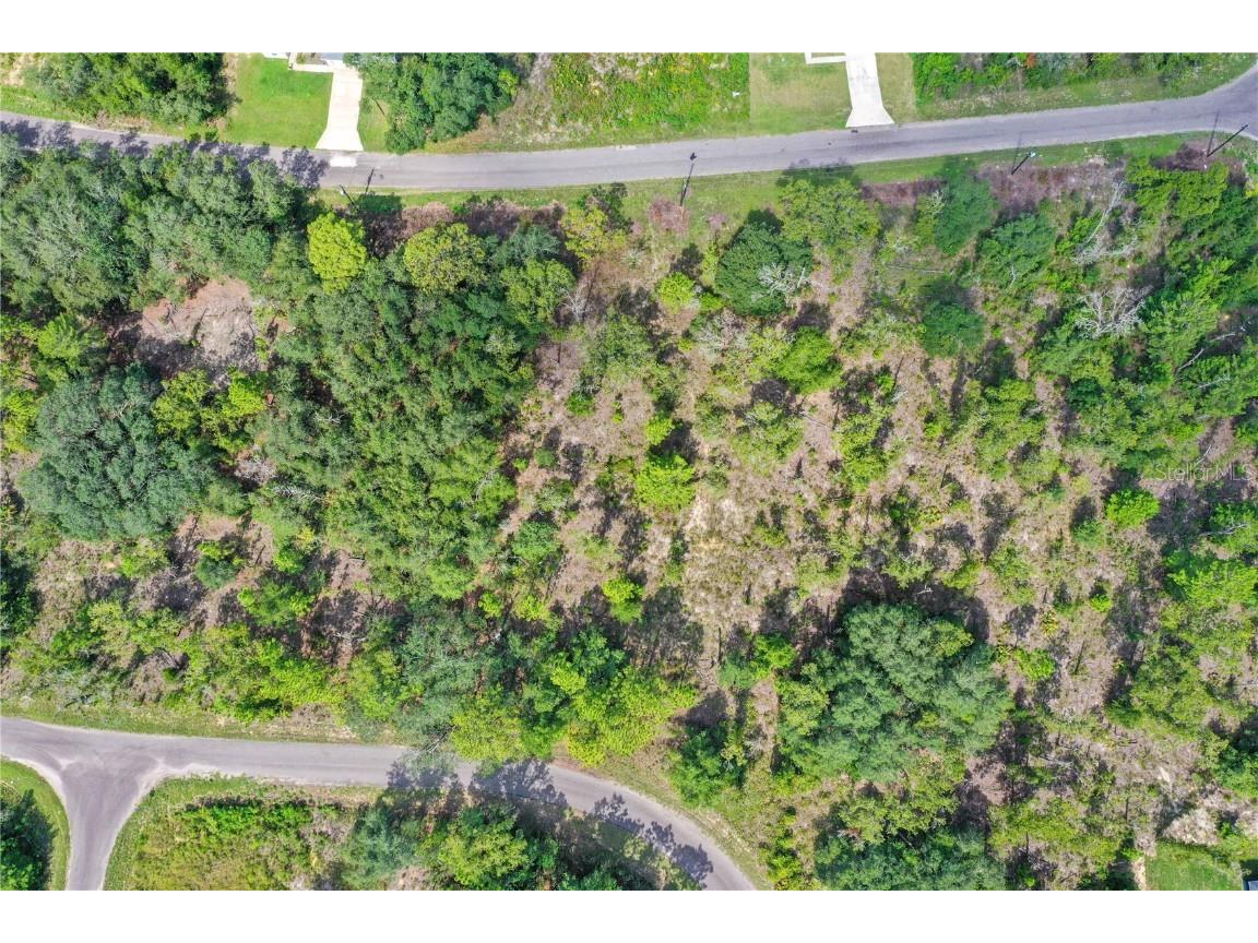 0024 Guava Pass Drive Ocklawaha FL 32179 TB8421632 image3