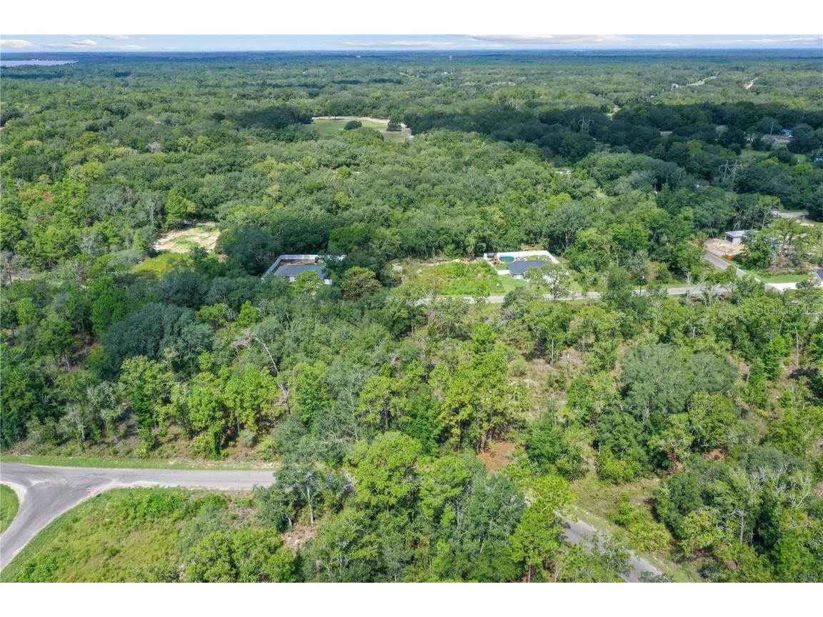 0024 Guava Pass Drive Ocklawaha FL 32179 TB8421632 image4