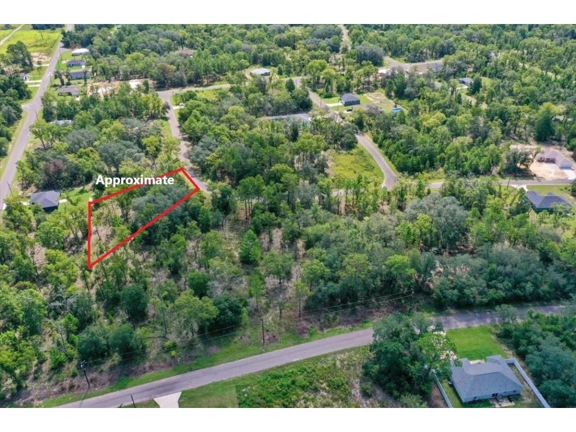 0024 Guava Pass Drive Ocklawaha FL 32179 TB8421632 image5