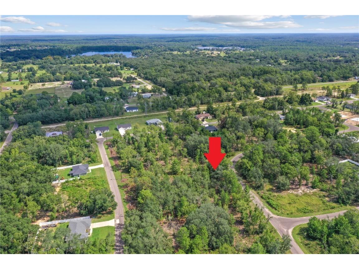 0024 Guava Pass Drive Ocklawaha FL 32179 TB8421632 image7