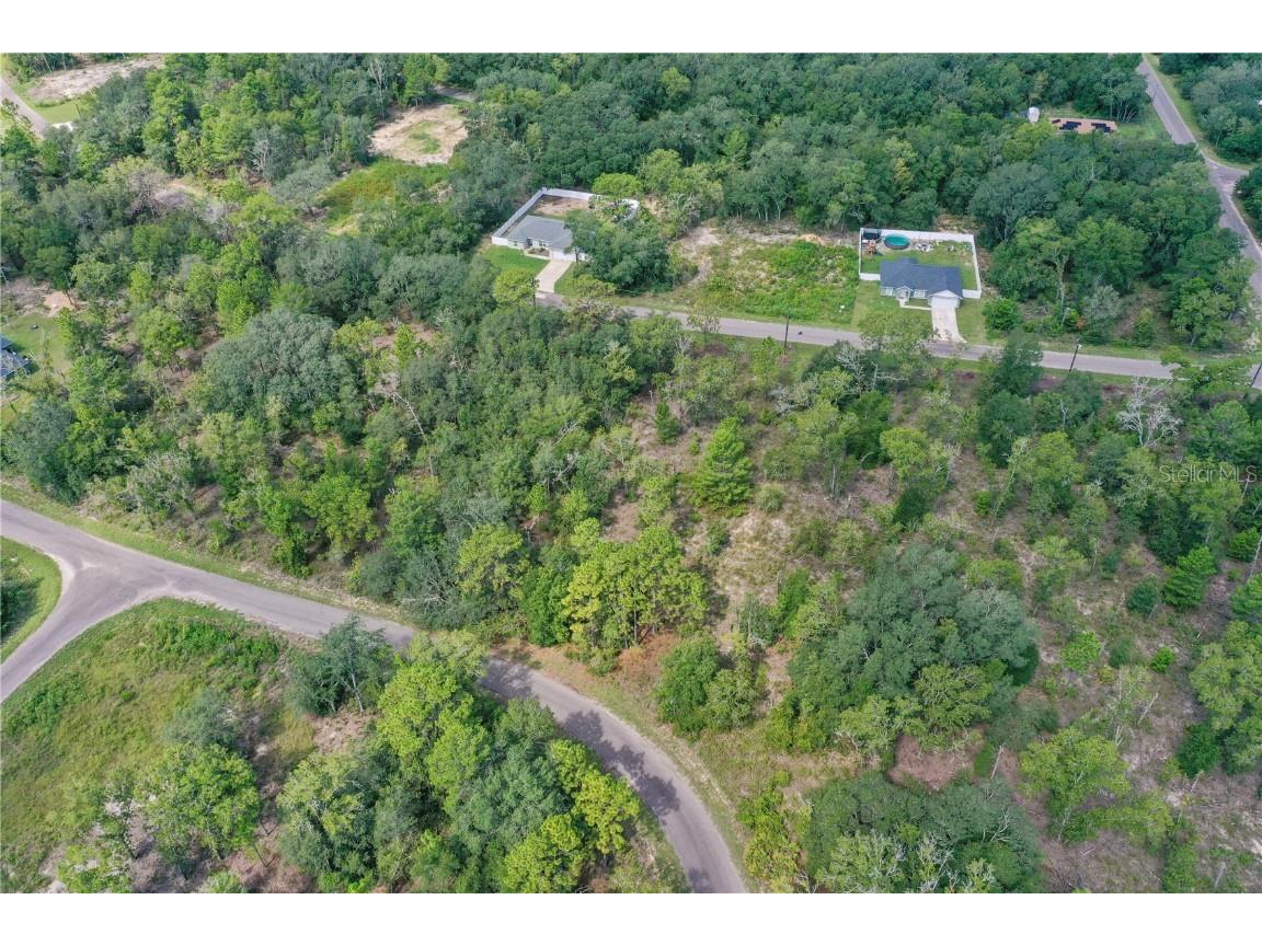 0024 Guava Pass Drive Ocklawaha FL 32179 TB8421632 image8