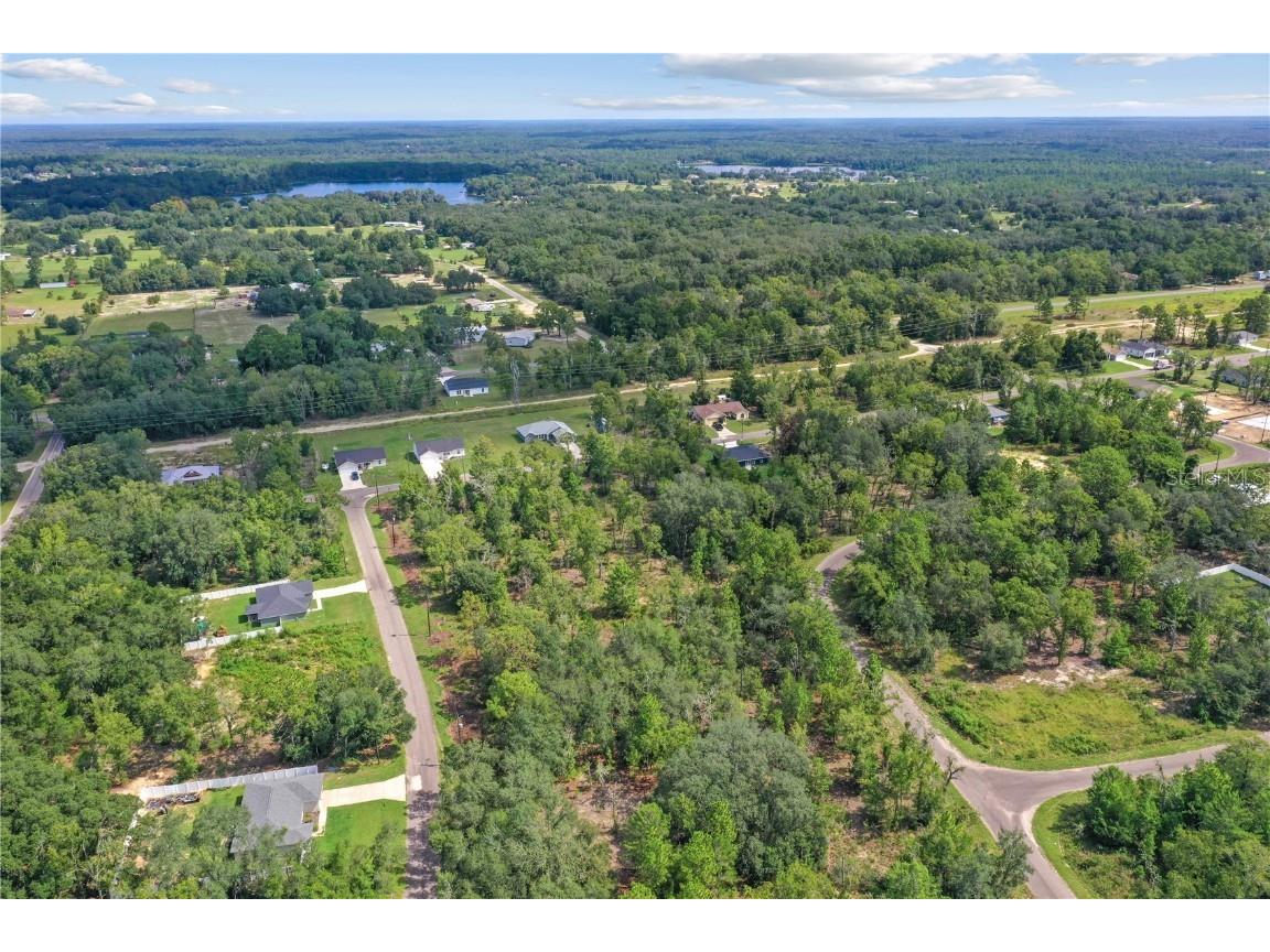 0024 Guava Pass Drive Ocklawaha FL 32179 TB8421632 image9