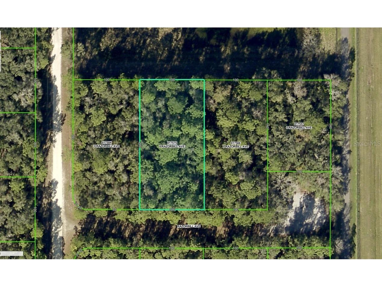 00817575 Razorbill Avenue Brooksville FL 34614 A4632570 image1