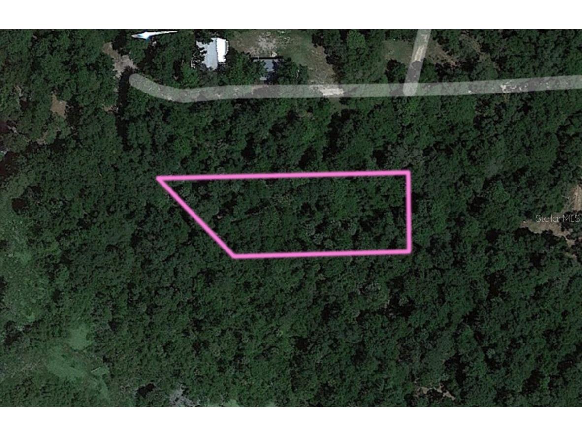 00TBD NE 212th Lane Fort Mc Coy FL 32134 A4568968 image1