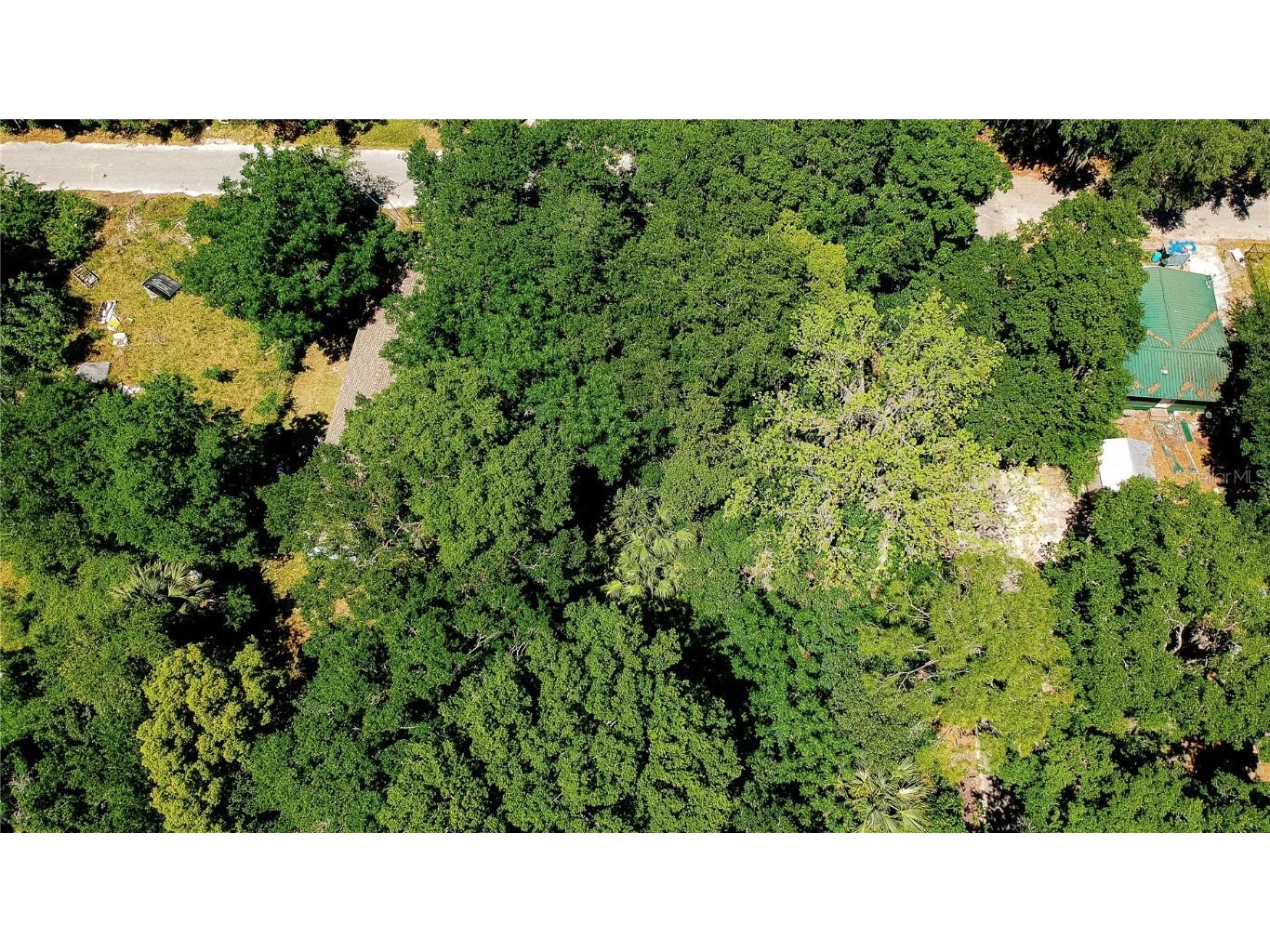 01-10-26-3150-0120-0010 E Harris Street Palatka FL 32177 A4606894 image1