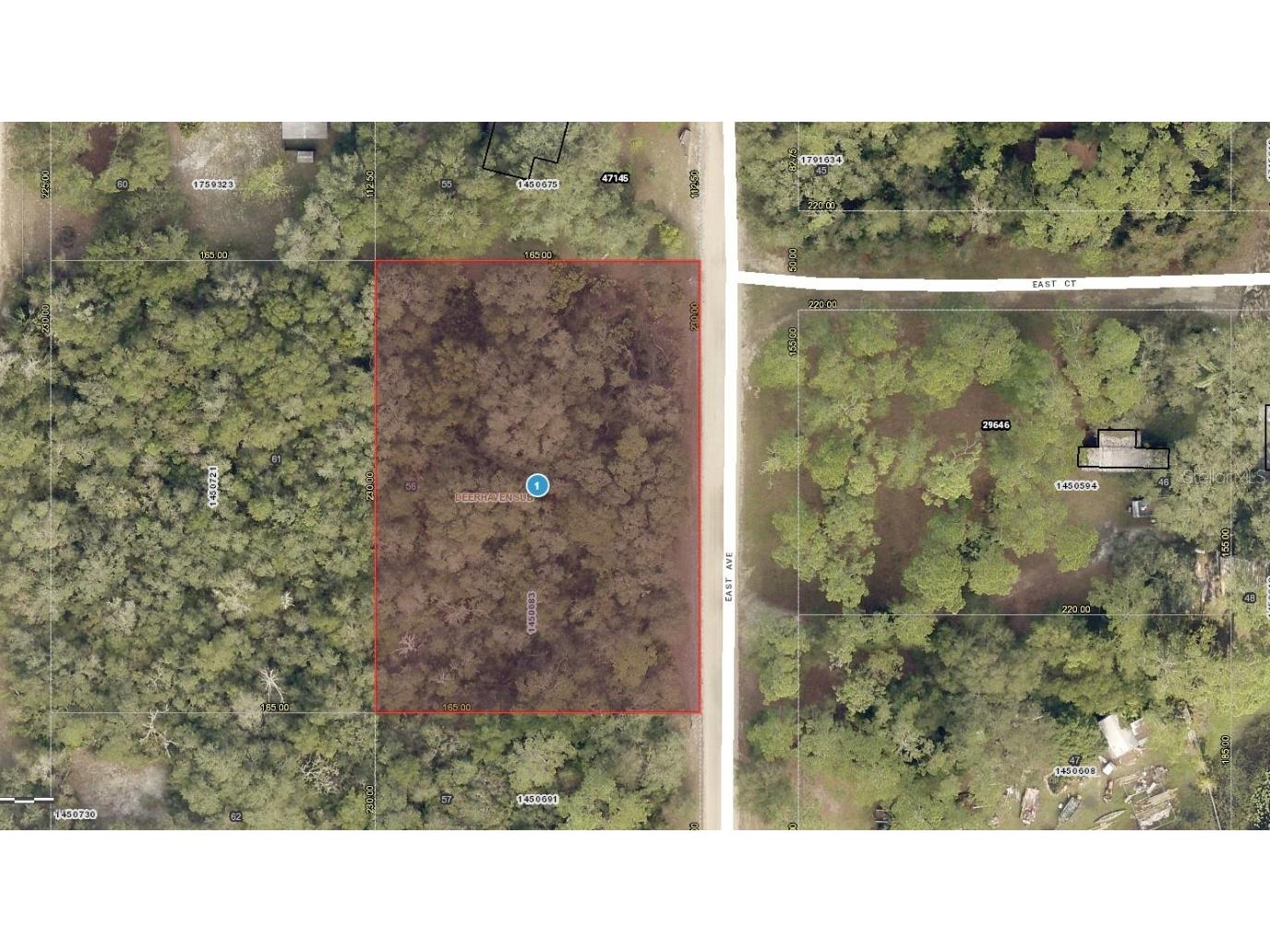 01-17-28-0100-000-05600 East Avenue Paisley FL 32767 A4646905 image1