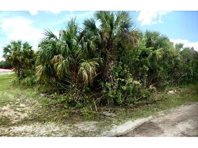 01 St. Andre Avenue Palm Bay FL 32908 J969991 image1