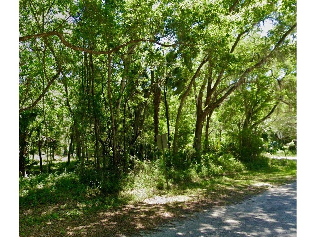 01 SW 9th Lane Ocala FL 34481 W7853045 image1