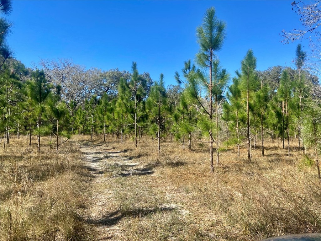 01 Unnamed Spring Hill FL 34610 TB8362819 image1