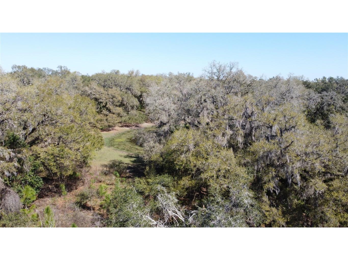 01 Unnamed Spring Hill FL 34610 TB8362819 image10