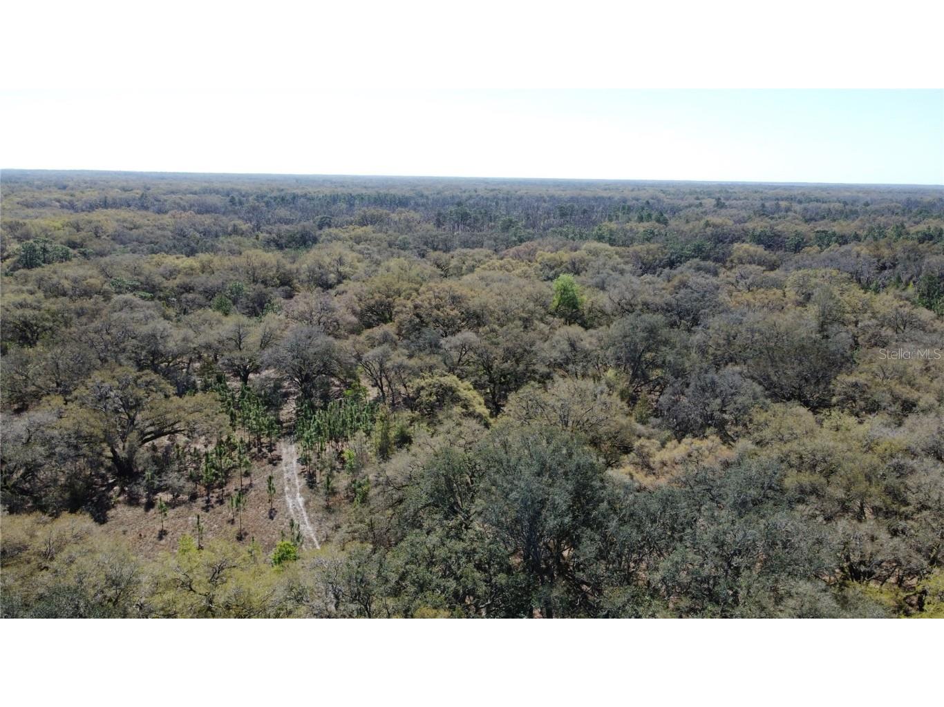 01 Unnamed Spring Hill FL 34610 TB8362819 image11