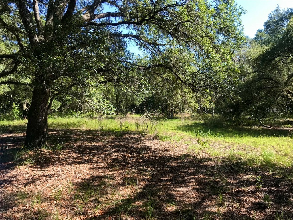 01 Unnamed Spring Hill FL 34610 TB8362819 image12