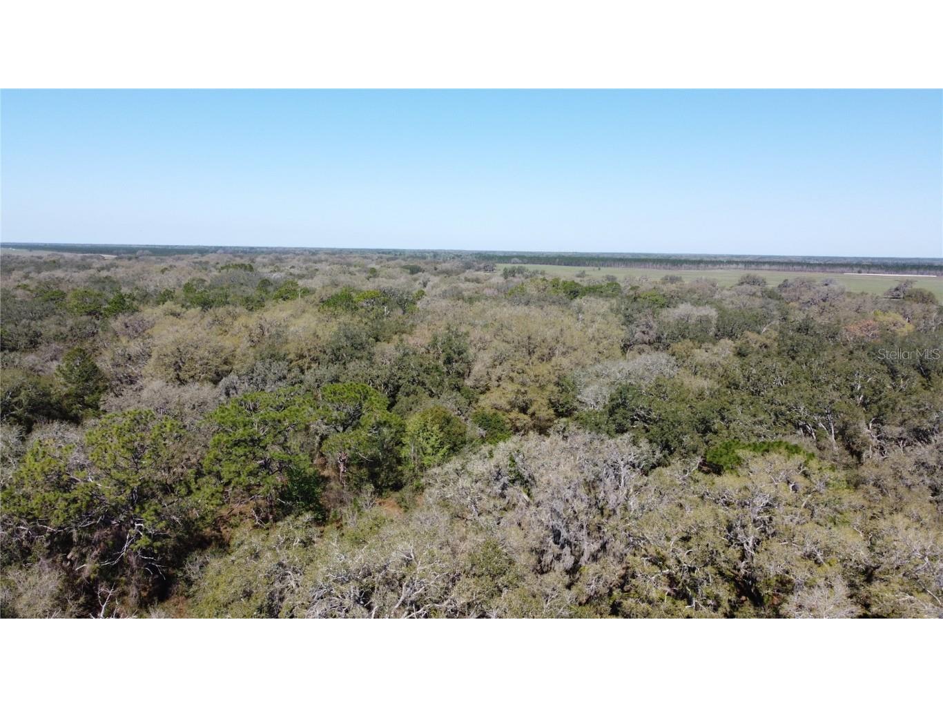 01 Unnamed Spring Hill FL 34610 TB8362819 image14