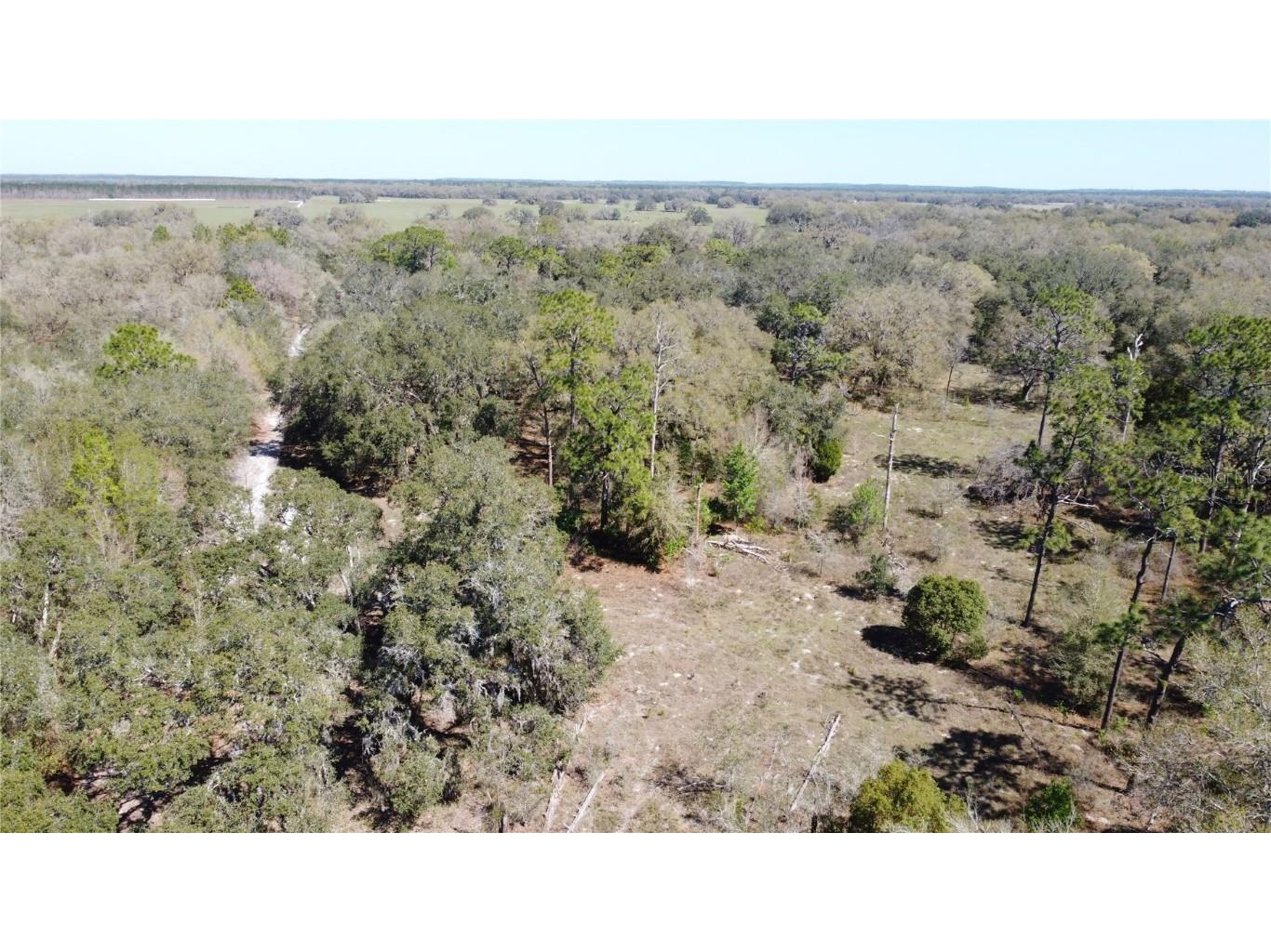 01 Unnamed Spring Hill FL 34610 TB8362819 image15