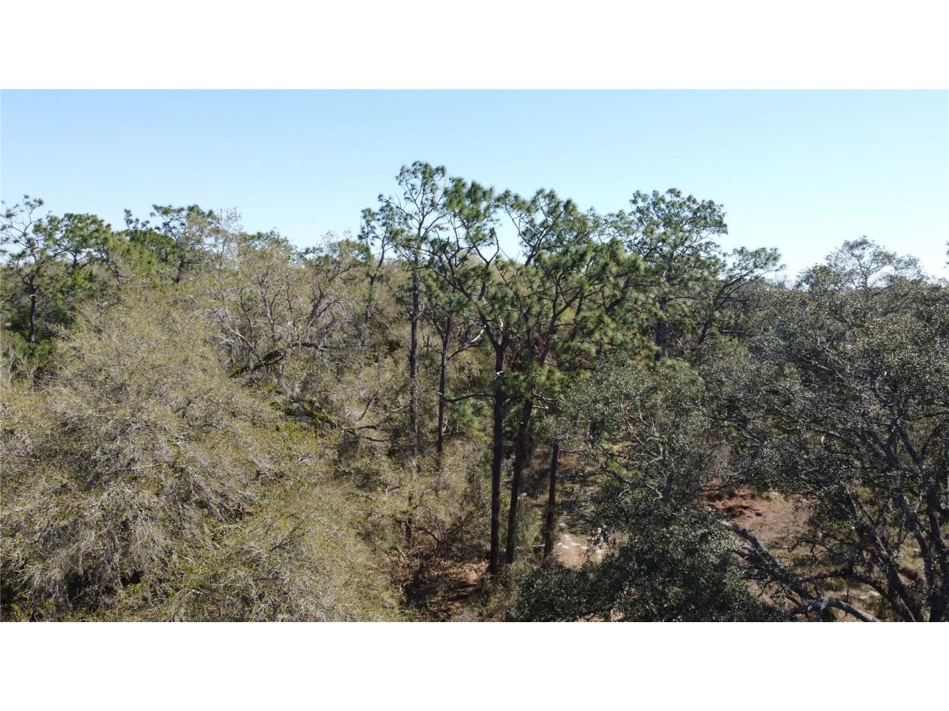 01 Unnamed Spring Hill FL 34610 TB8362819 image16