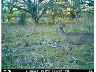 01 Unnamed Spring Hill FL 34610 TB8362819 image17