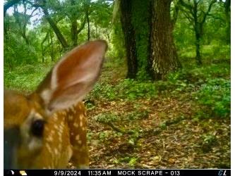 01 Unnamed Spring Hill FL 34610 TB8362819 image23