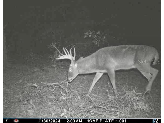 01 Unnamed Spring Hill FL 34610 TB8362819 image24