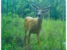 01 Unnamed Spring Hill FL 34610 TB8362819 image26