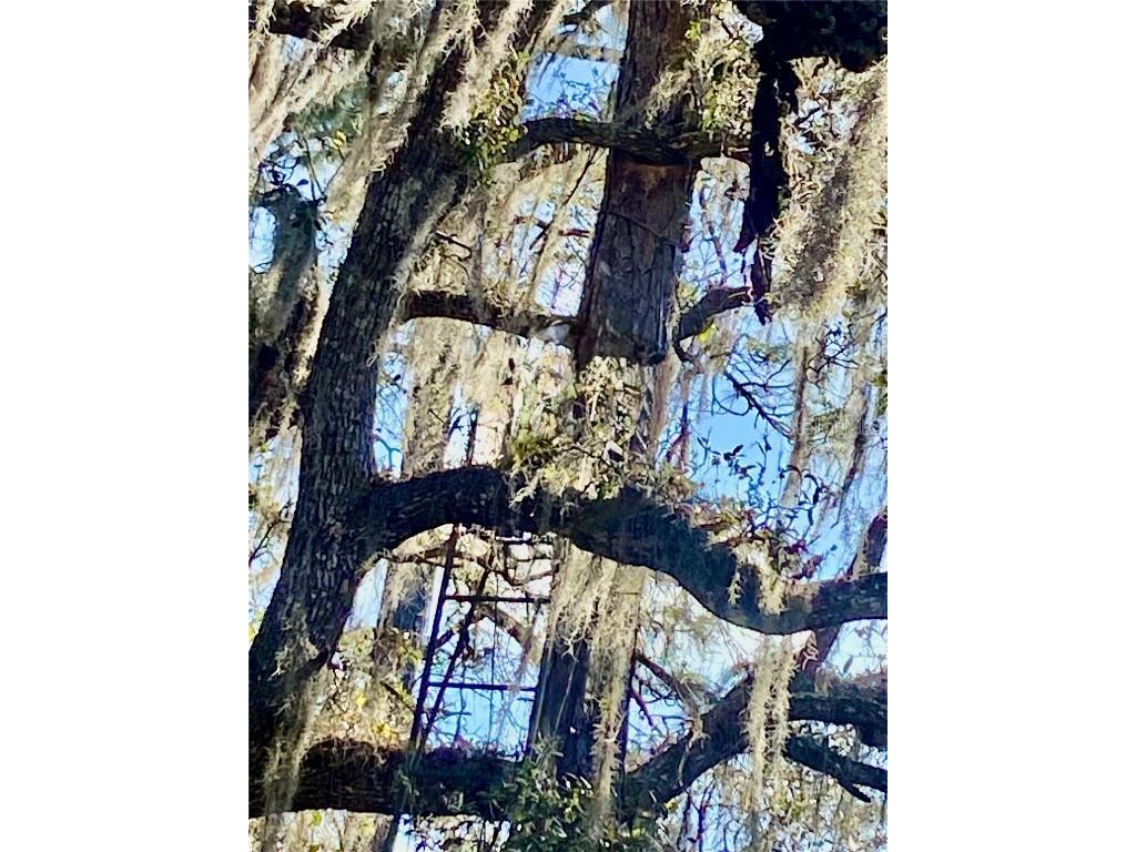 01 Unnamed Spring Hill FL 34610 TB8362819 image37