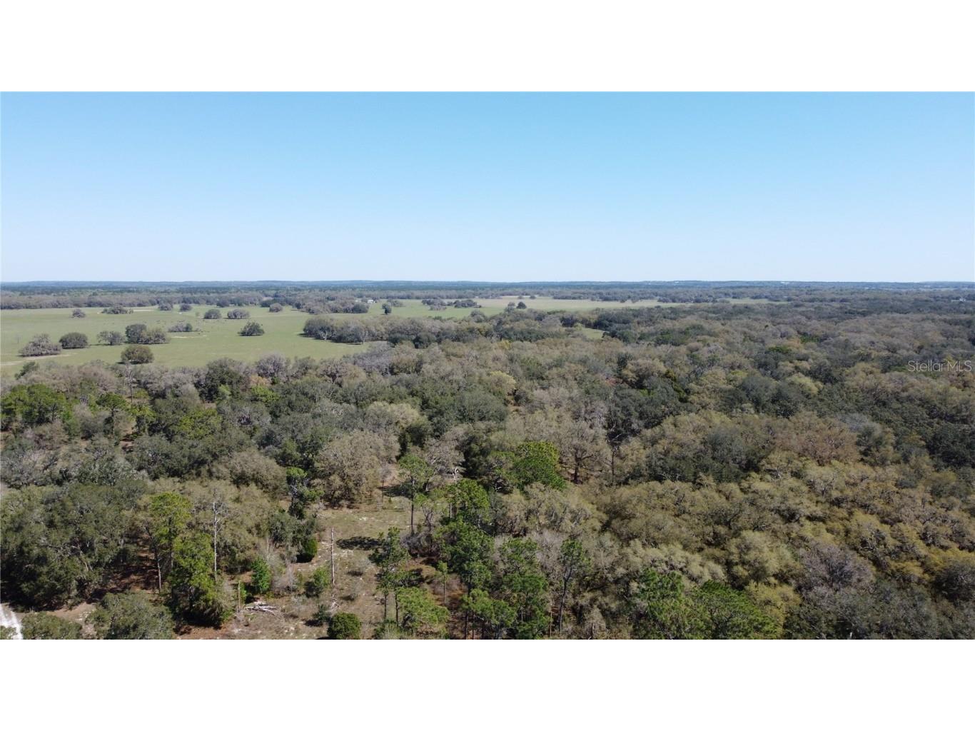 01 Unnamed Spring Hill FL 34610 TB8362819 image38