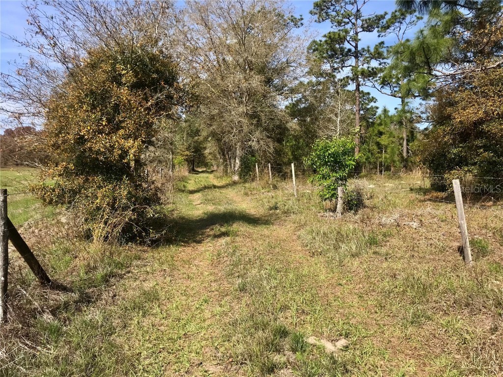 01 Unnamed Spring Hill FL 34610 TB8362819 image42