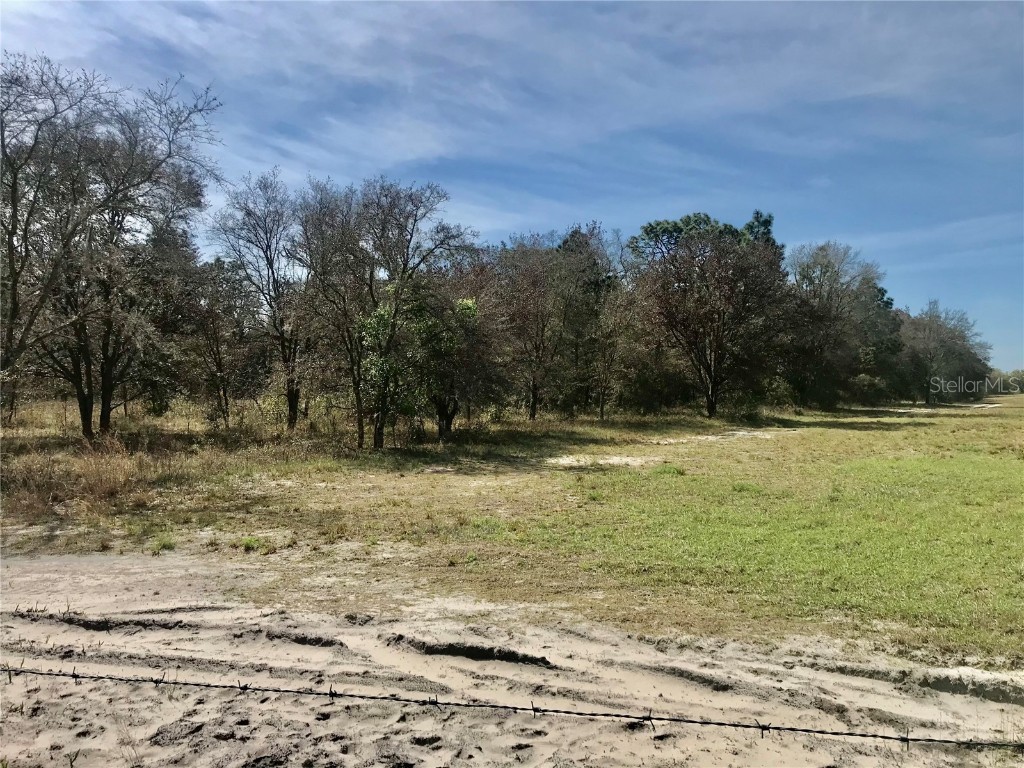 01 Unnamed Spring Hill FL 34610 TB8362819 image43