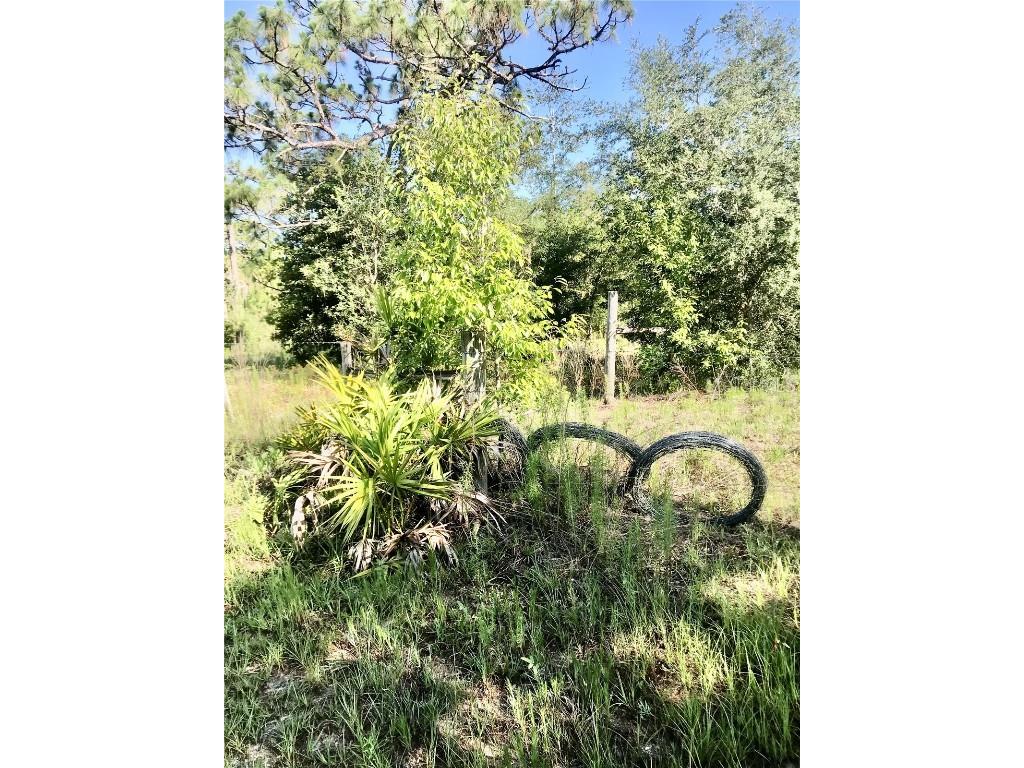 01 Unnamed Spring Hill FL 34610 TB8362819 image44