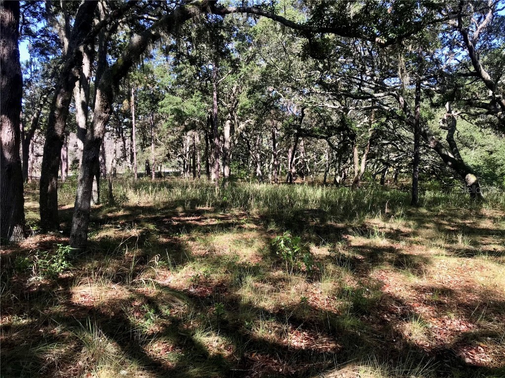 01 Unnamed Spring Hill FL 34610 TB8362819 image48