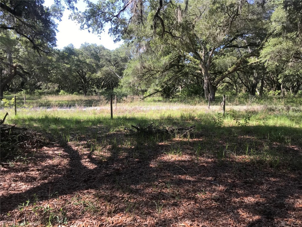 01 Unnamed Spring Hill FL 34610 TB8362819 image5