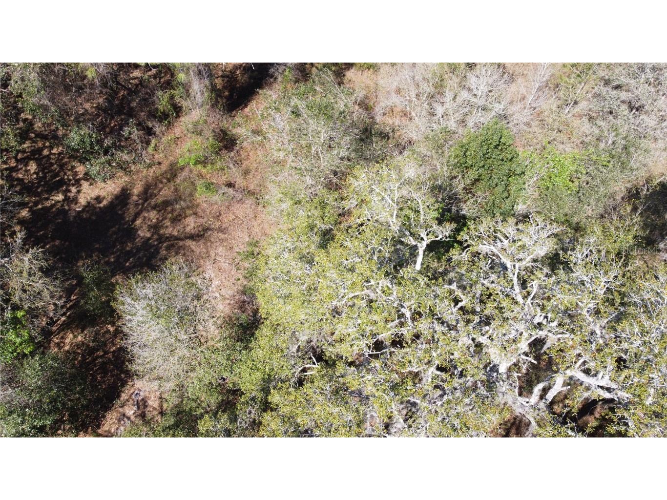 01 Unnamed Spring Hill FL 34610 TB8362819 image50