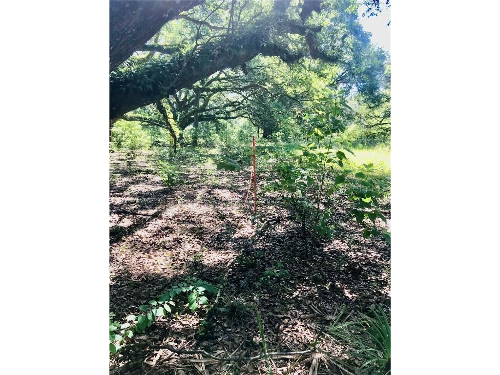 01 Unnamed Spring Hill FL 34610 TB8362819 image52