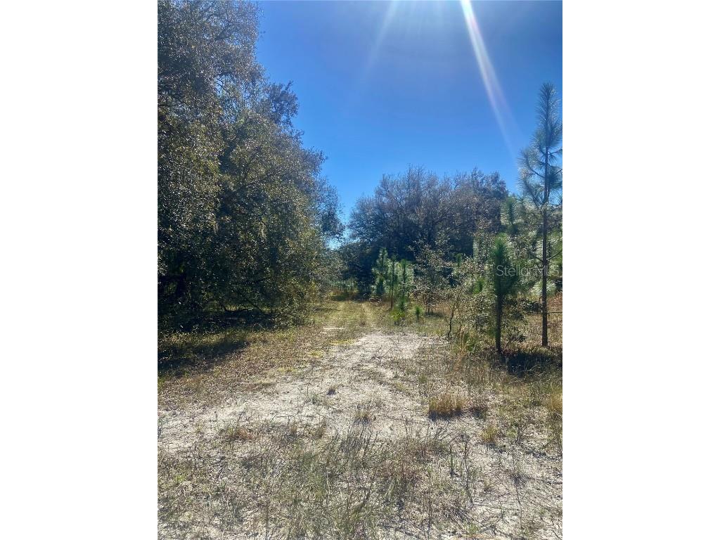 01 Unnamed Spring Hill FL 34610 TB8362819 image54